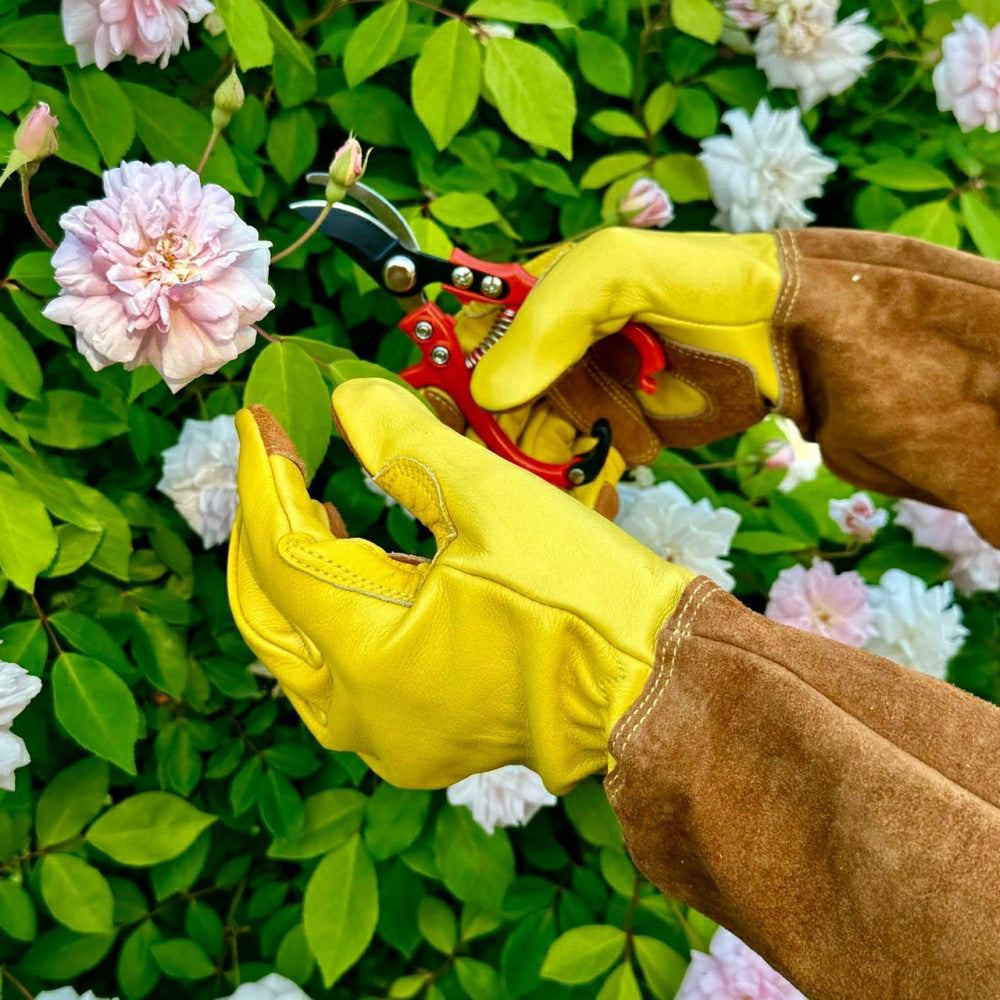 Long Garden Gloves - Rose Pruning Gloves (Soft Cowhide) | Plow & Hearth