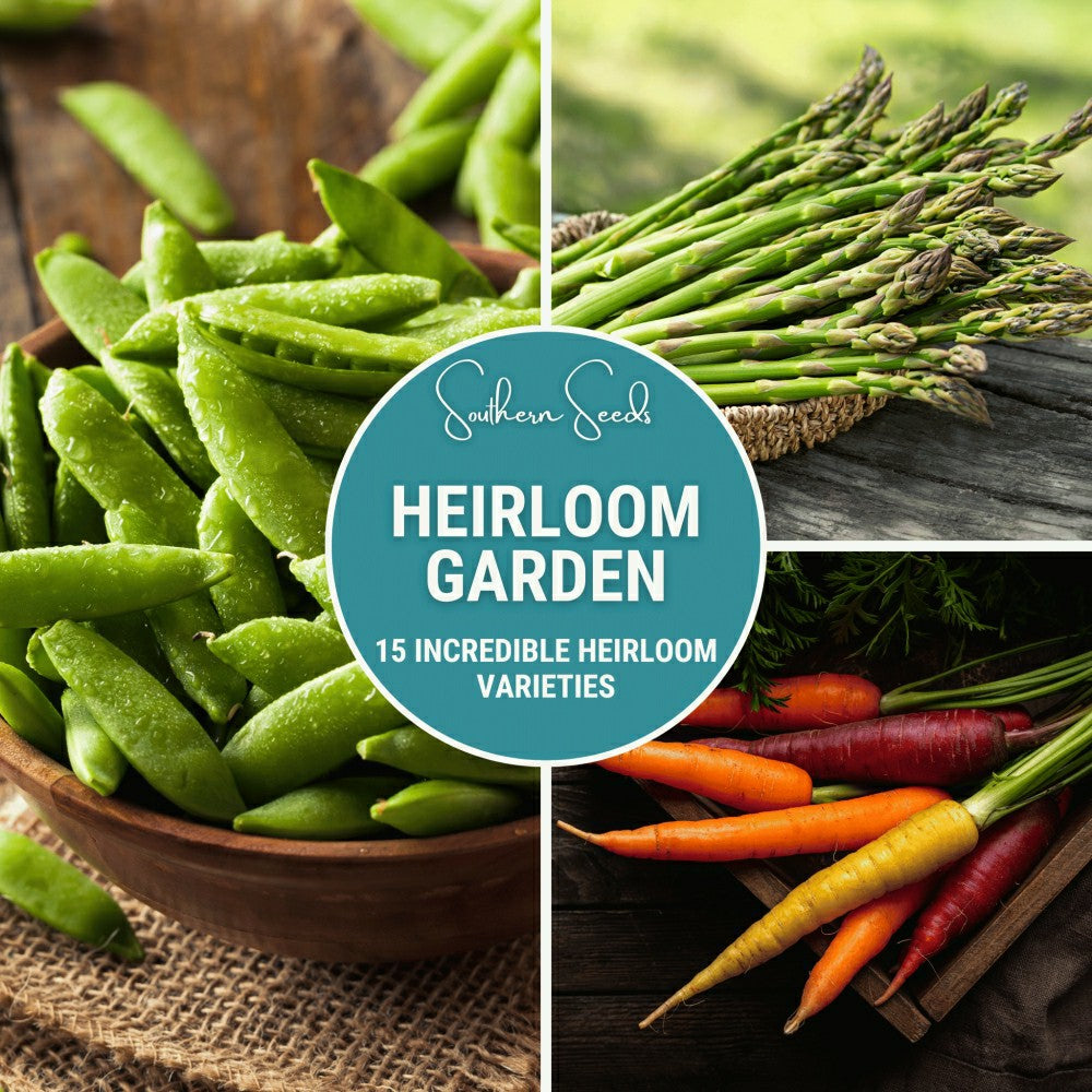 Heirloom Vegetable Seed Collection – 15 Varieties | Plow & Hearth