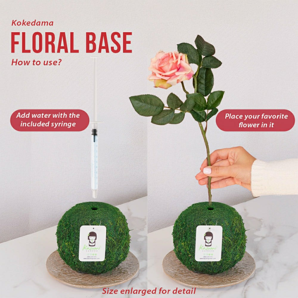 Natural MOSS 4.5" Kokedama Floral Base - Perfect for Single Stems, Fre | Plow & Hearth