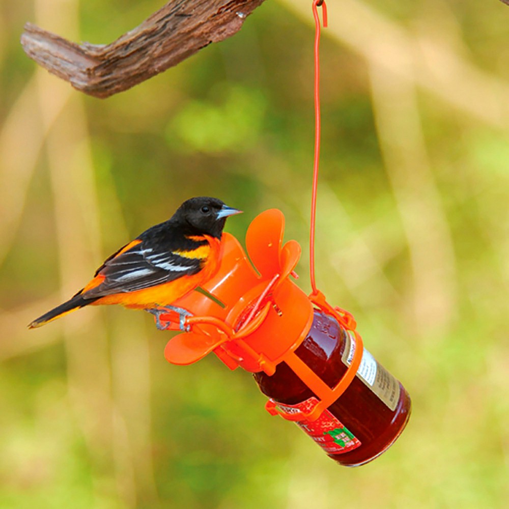 Jelly/Jam Jar Oriole Bird Feeder | Plow & Hearth