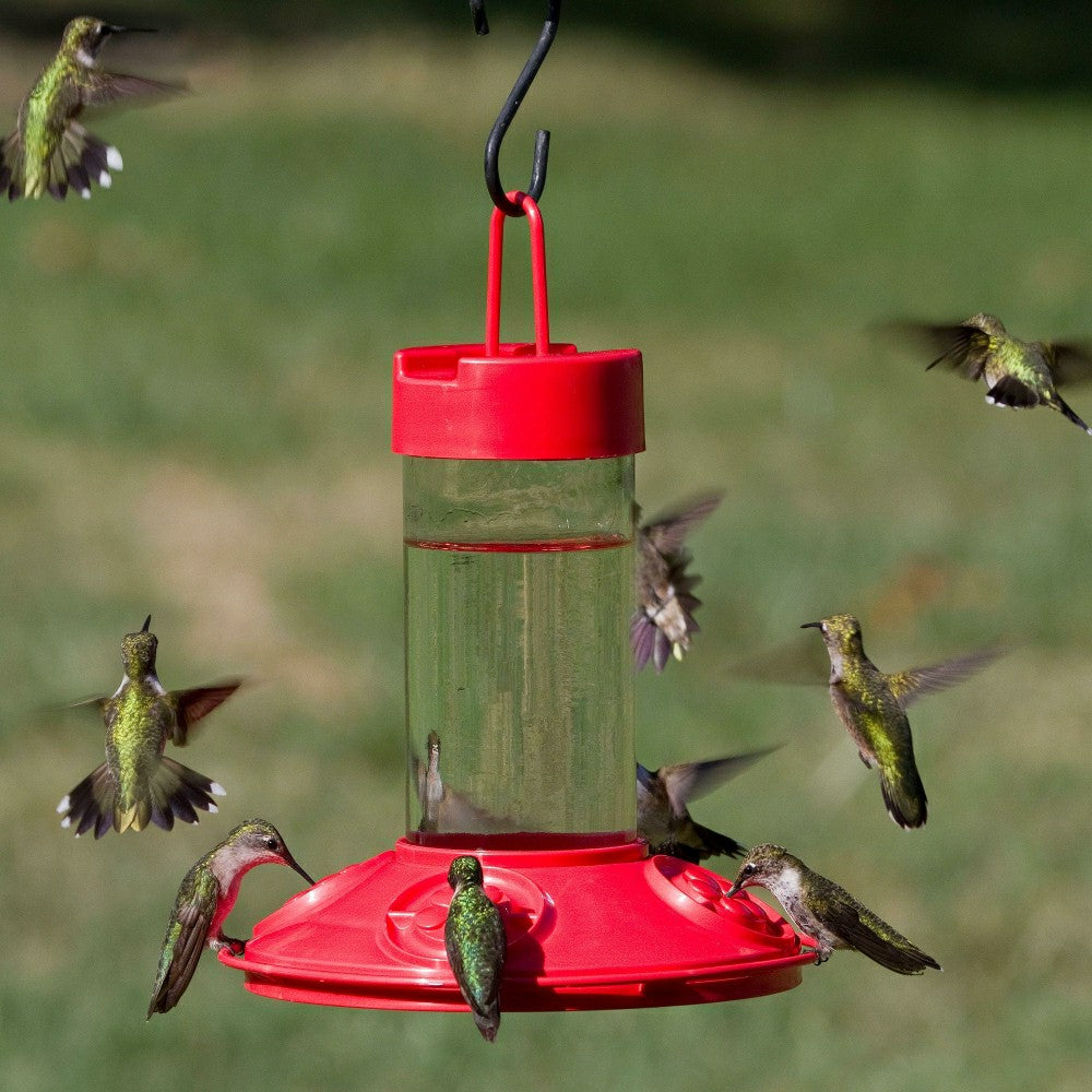Dr. JB's 16-Ounce Dishwasher-Safe Hummingbird Feeder | Plow & Hearth