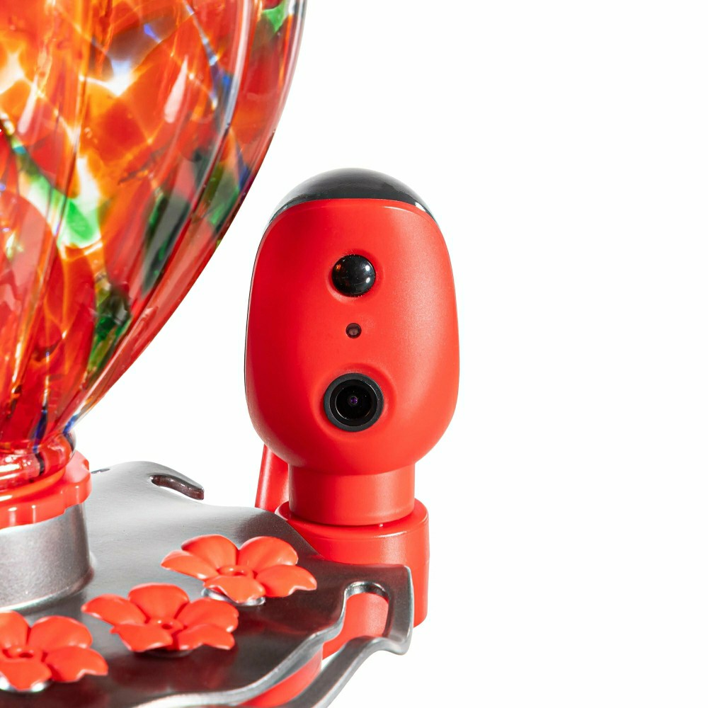 Solar Smart Hummingbird Feeder with HD Camera | Plow & Hearth