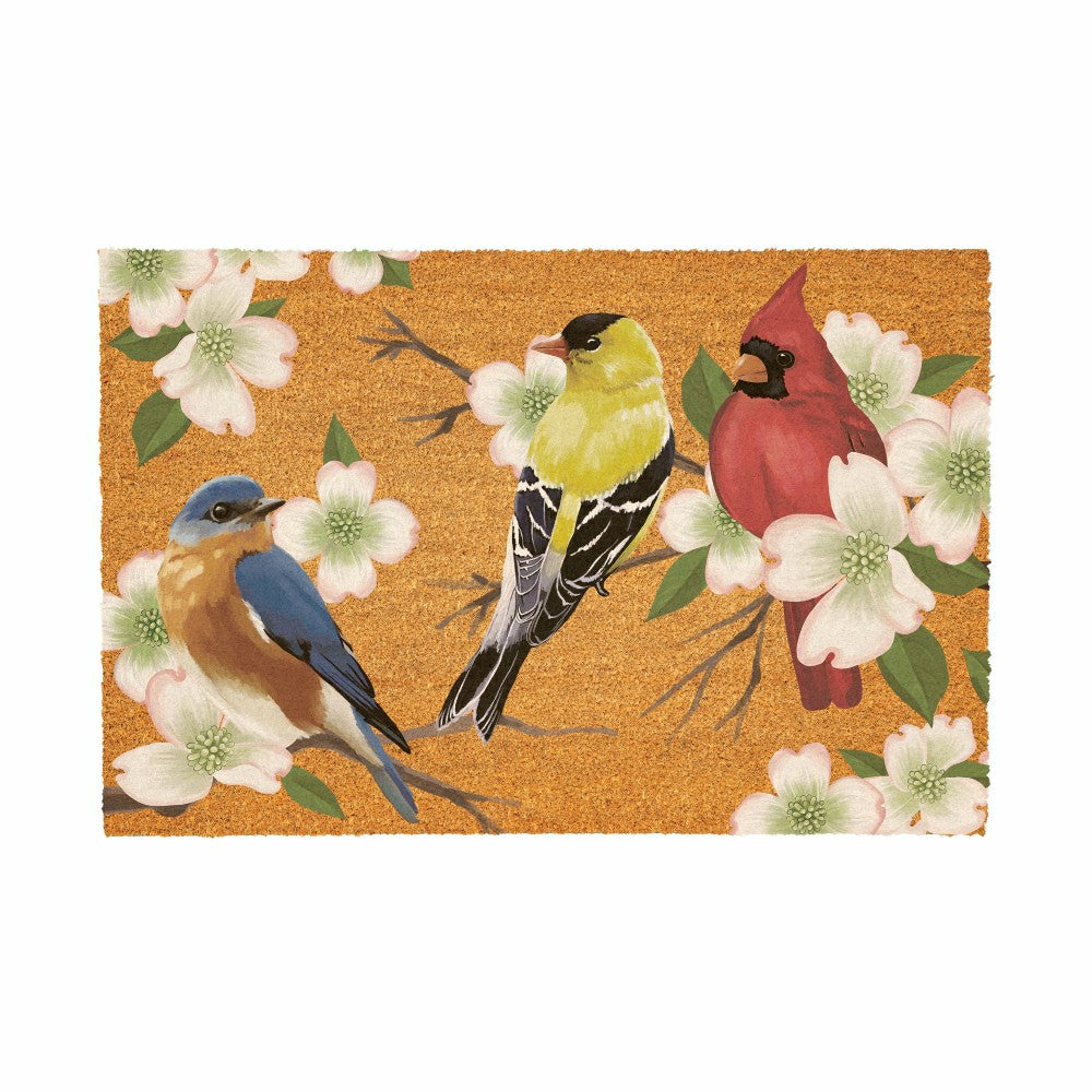 What She Shed Bird Bunch, Coir Mat, 36"x24" | Plow & Hearth