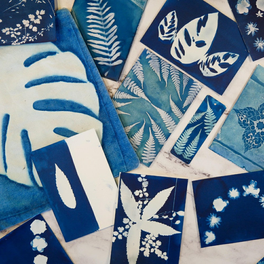 Cyanotype Kit | Plow & Hearth