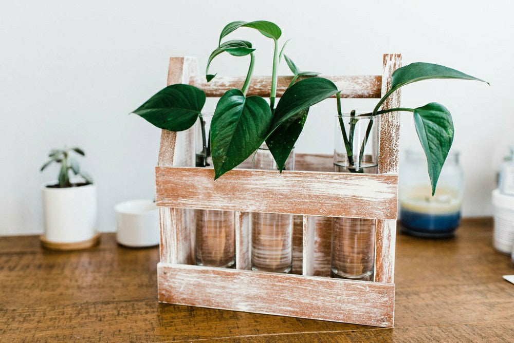 Weathered Wood Caddy Kit | Plow & Hearth