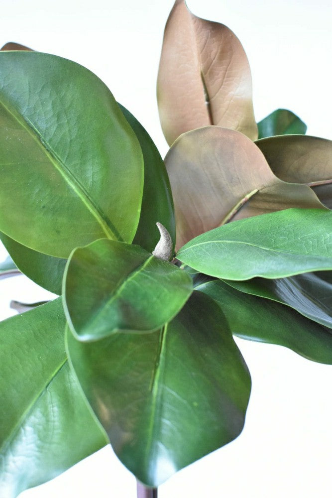18" Faux Magnolia Leaf Bundle | Plow & Hearth