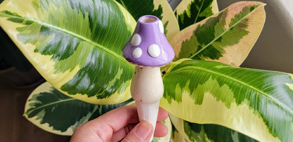 Small Toadstool Watering Spike | Plow & Hearth