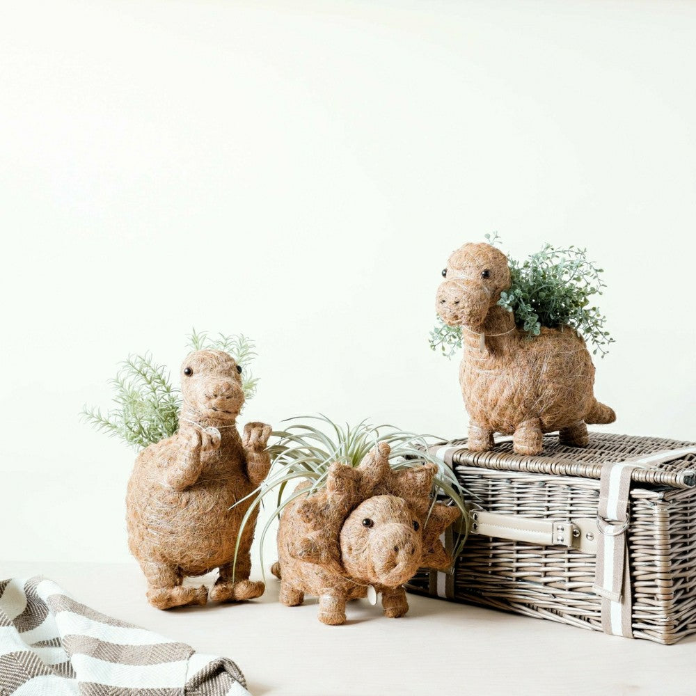 Brontosaurus Planter - Coco Coir Pots | Plow & Hearth