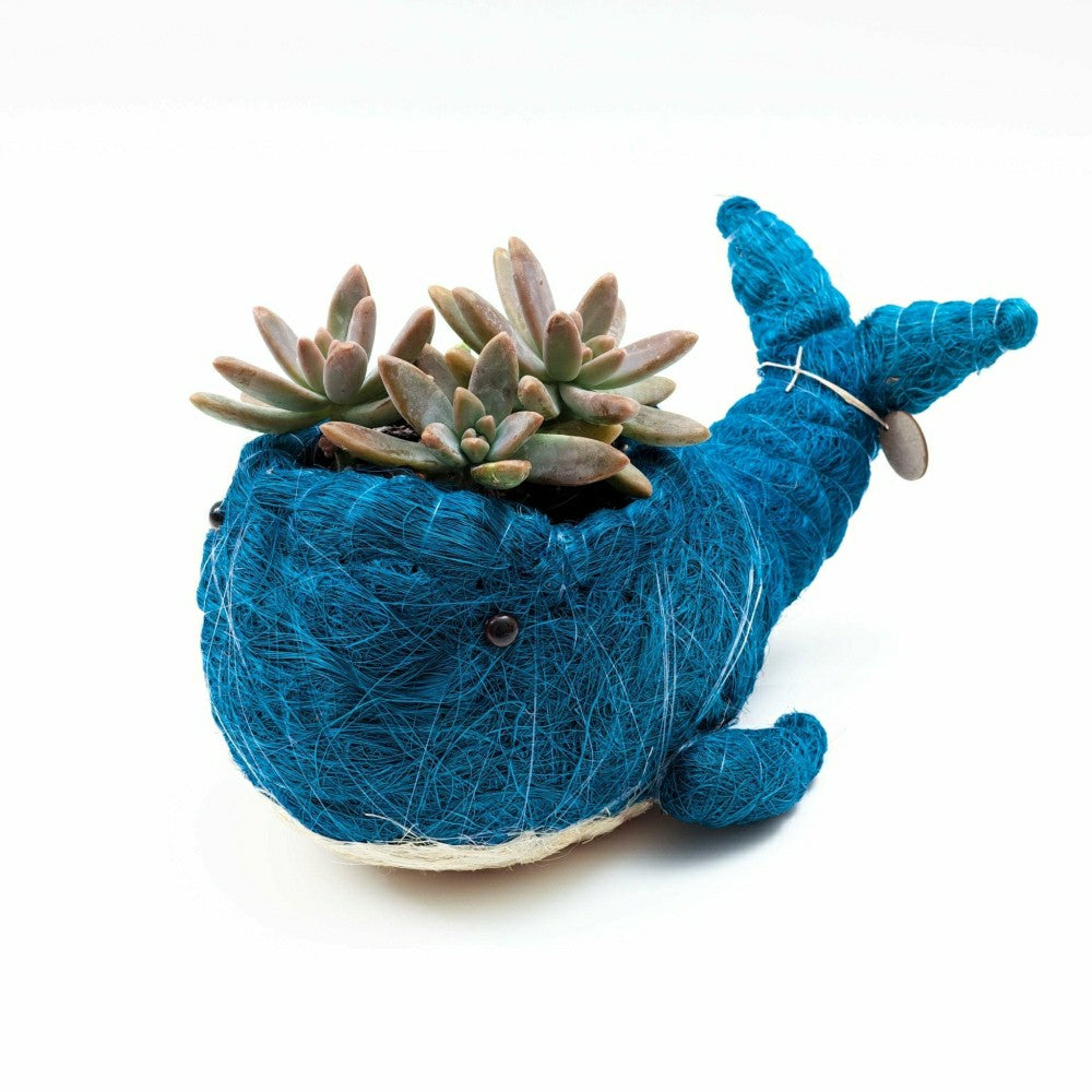 Wicker Whale Planter - Coco Planter | Plow & Hearth