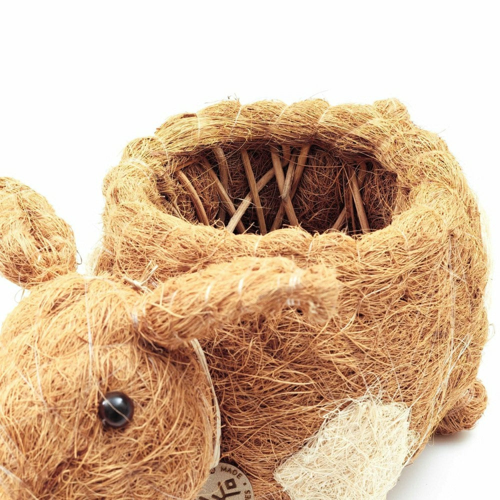 Pig Planter - Coco Coir Pots | Plow & Hearth