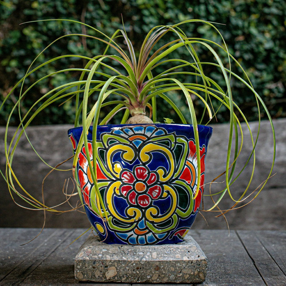 Blue Floral Talavera Planter, Medium | Plow & Hearth