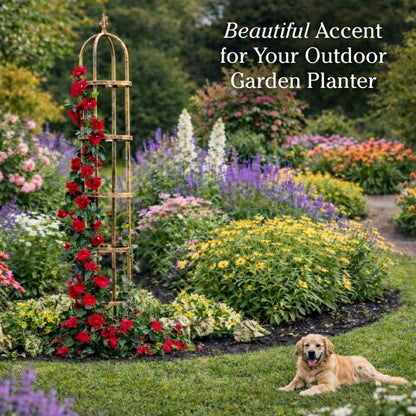 Steel Garden Obelisk | Plow & Hearth