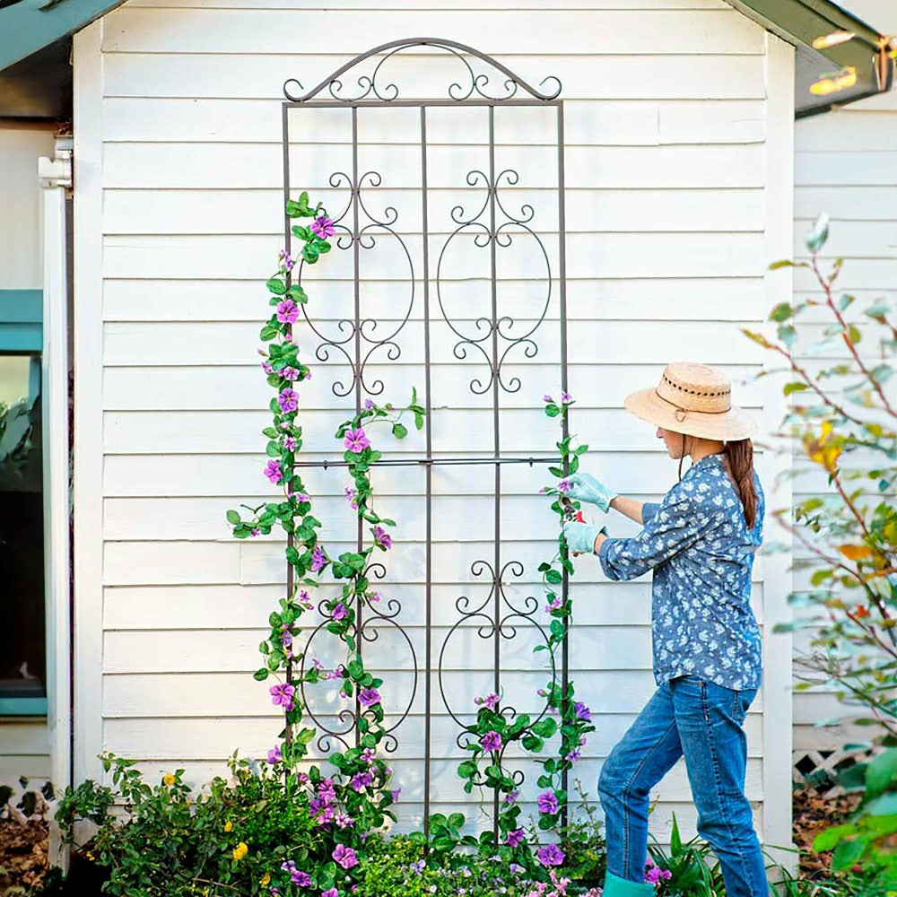 Iron Montebello Tall Trellis | Plow & Hearth
