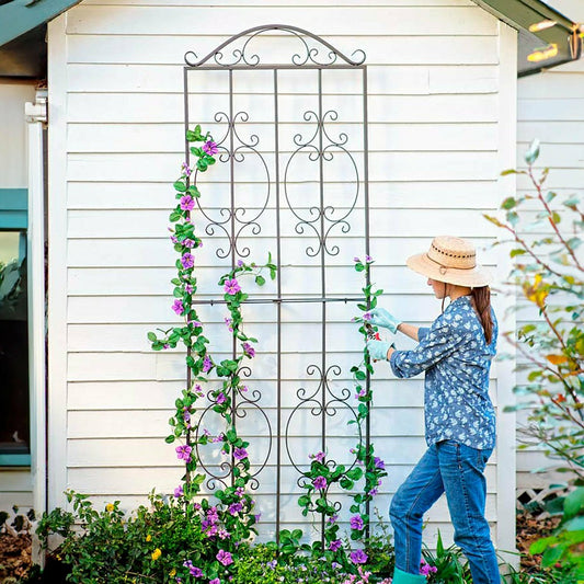 Iron Montebello Tall Trellis | Plow & Hearth