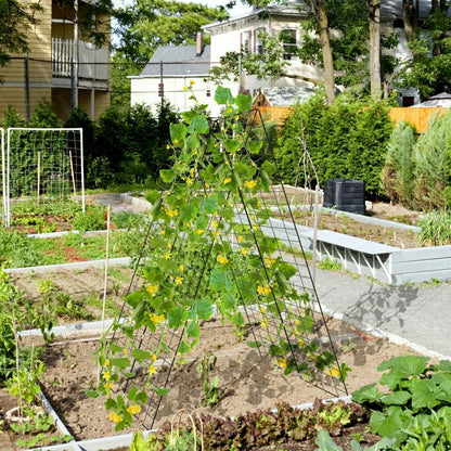Foldable A-Frame Trellis | Plow & Hearth