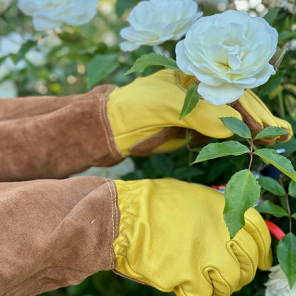 Long Garden Gloves - Rose Pruning Gloves (Soft Cowhide) | Plow & Hearth