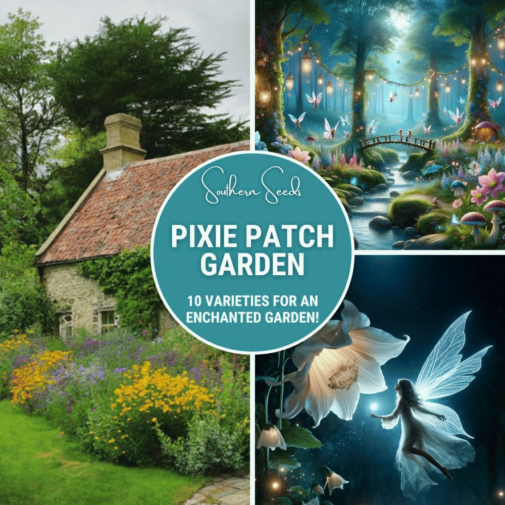 Pixie Patch Seed Collection – 10 Enchanted Varieties | Plow & Hearth