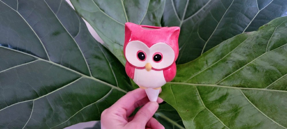 Owl Watering Spike | Plow & Hearth
