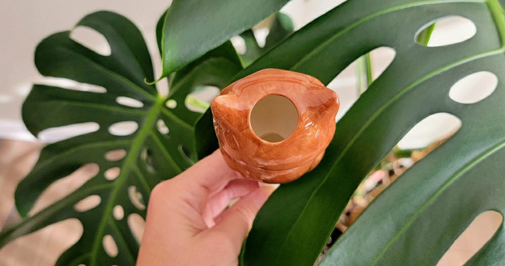 Owl Watering Spike | Plow & Hearth