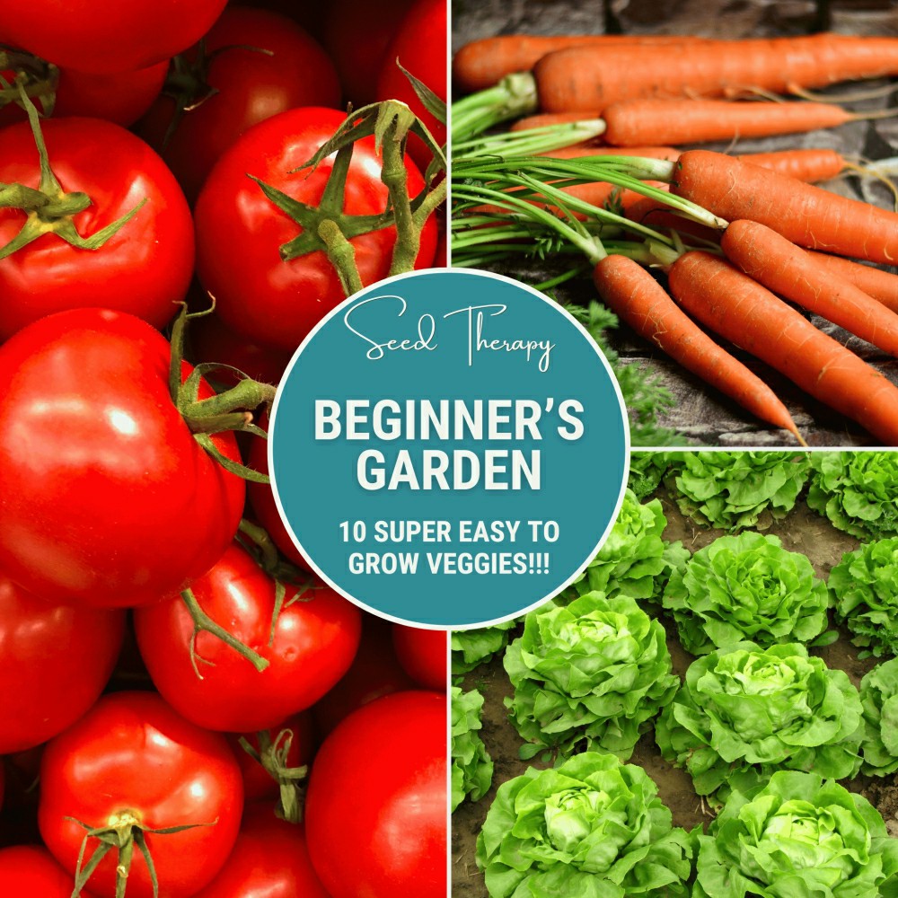 Beginner Vegetable Seed Collection – 10 Varieties | Plow & Hearth