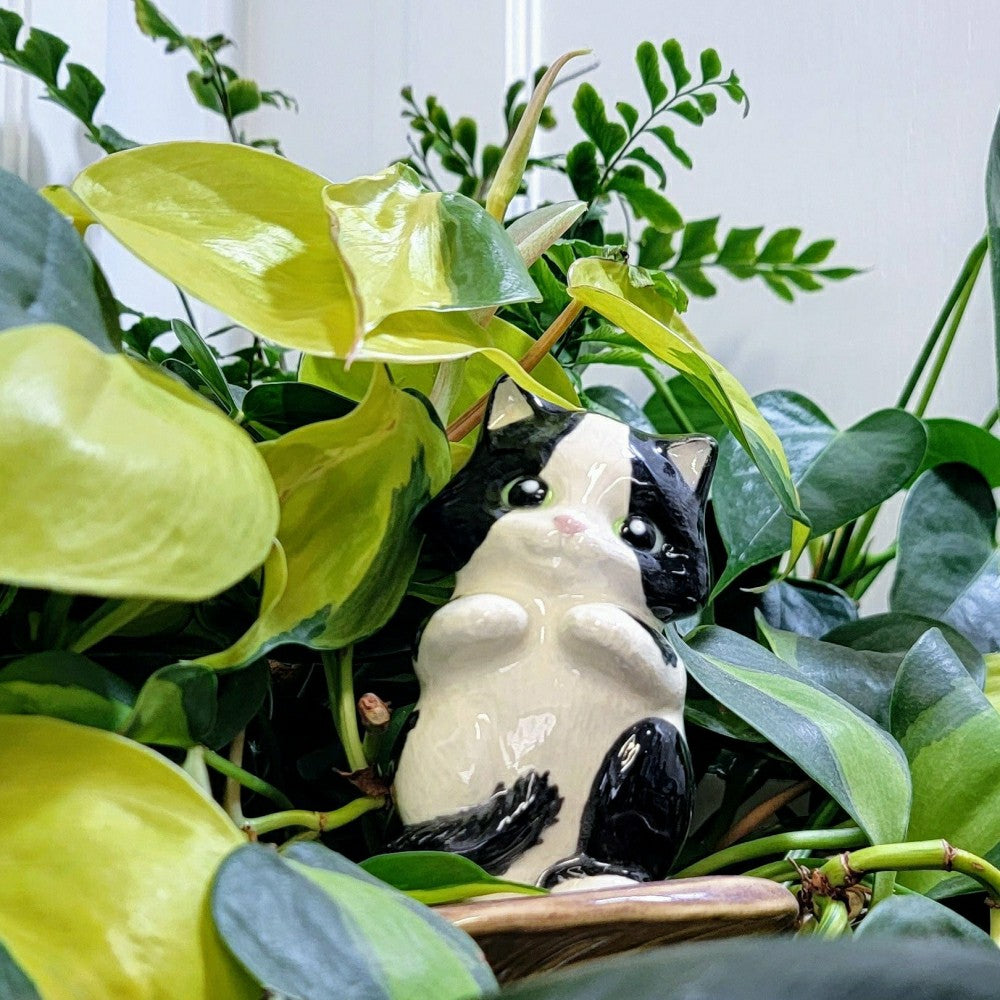 Cat Watering Spike | Plow & Hearth