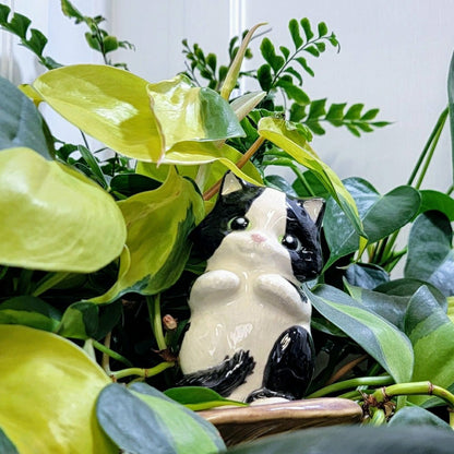 Cat Watering Spike | Plow & Hearth
