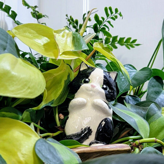 Cat Watering Spike | Plow & Hearth
