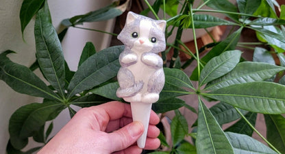 Cat Watering Spike | Plow & Hearth