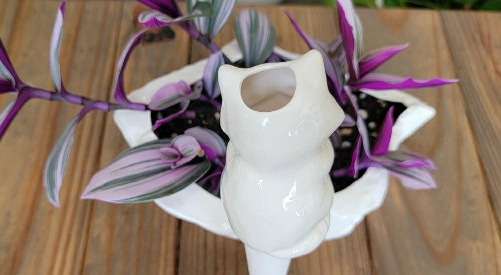 Cat Watering Spike | Plow & Hearth