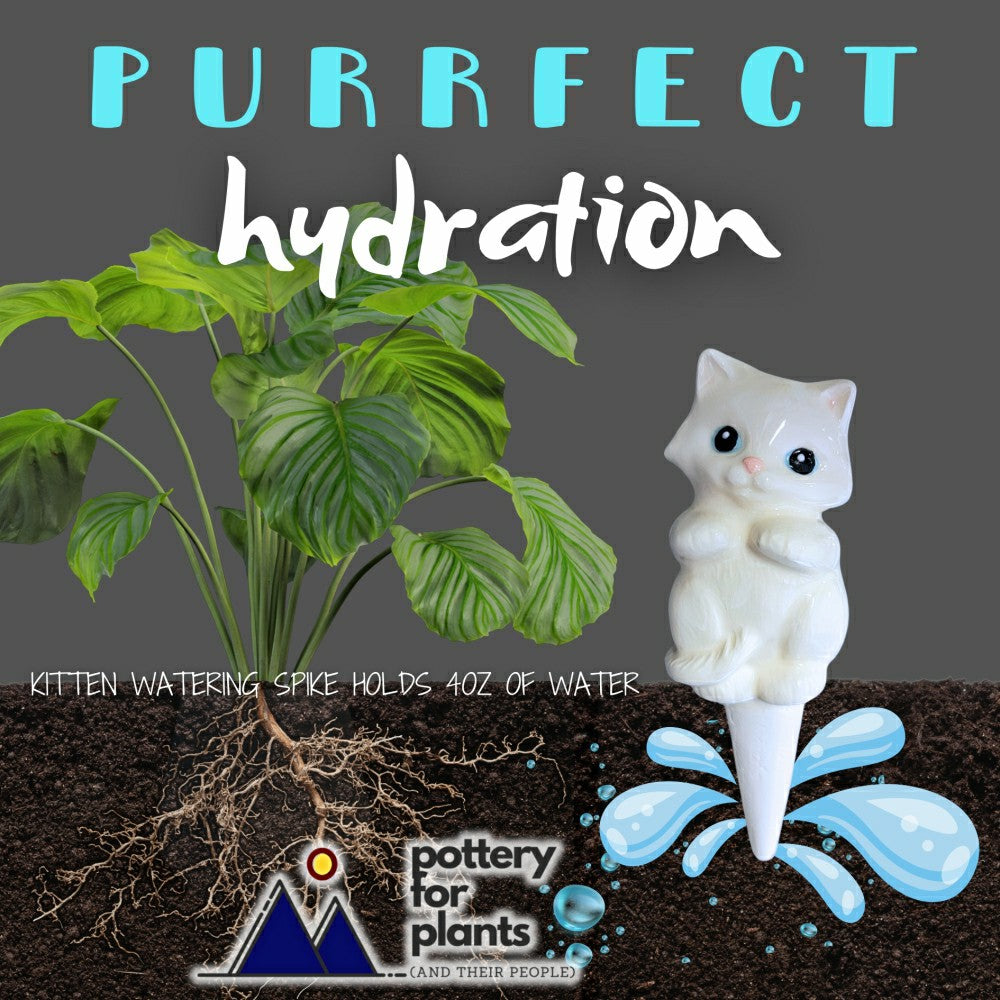 Cat Watering Spike | Plow & Hearth
