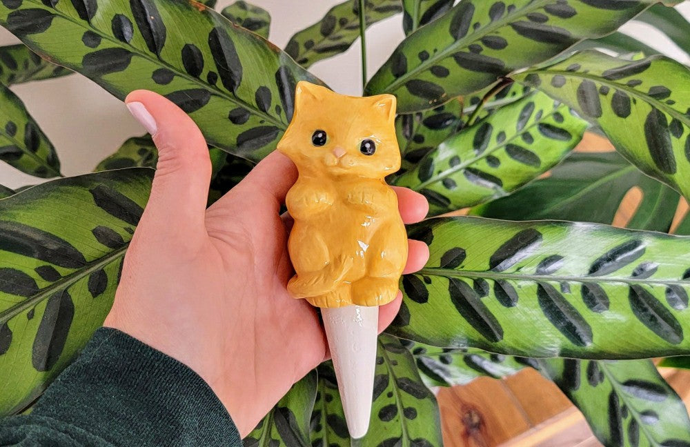 Cat Watering Spike | Plow & Hearth