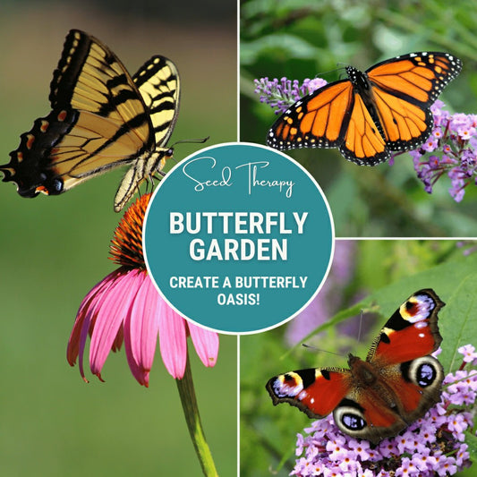Butterfly Garden Seed Collection – 10 Varieties | Plow & Hearth