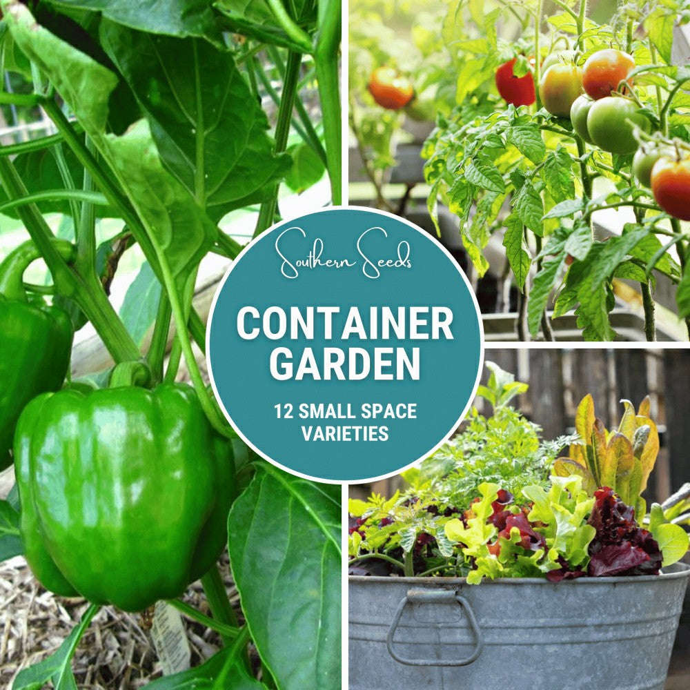 Container Garden Seed Collection – 12 Varieties | Plow & Hearth