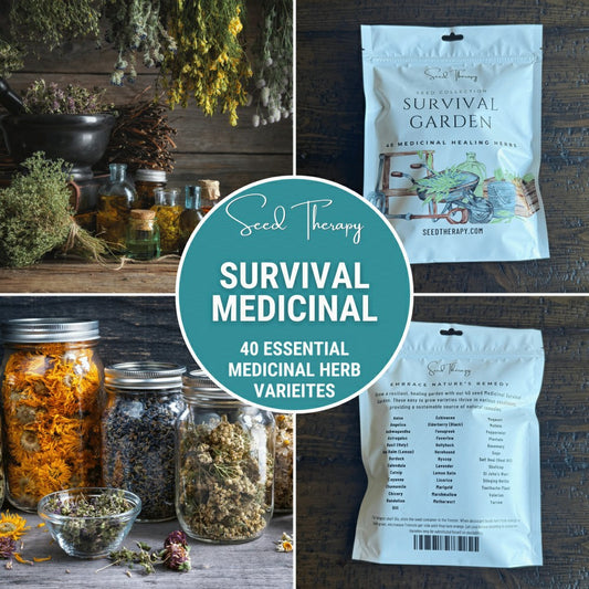 Survival Medicinal Herb Garden – 40 Essential Varieties | Plow & Hearth