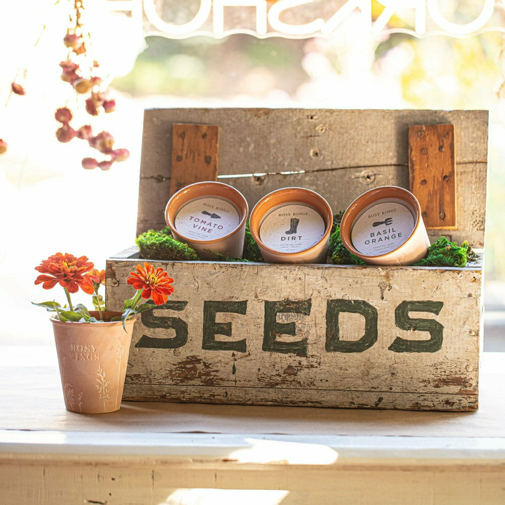 Basil Orange Garden Pot Candle + Plantable Seed Paper Dust Covers | Plow & Hearth