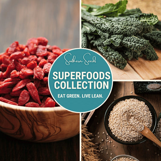 Superfoods Seed Collection – 7 Heirloom Varieties | Plow & Hearth