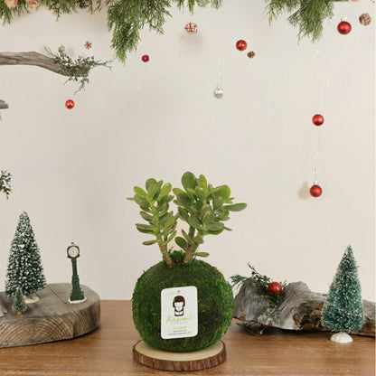 Jade | Plow & Hearth