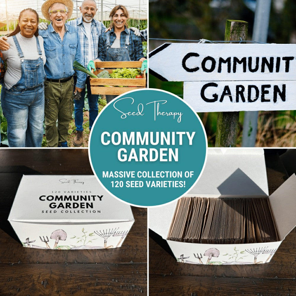 Community Garden Survival Seed Vault – 120 Seed Varieties | Plow & Hearth