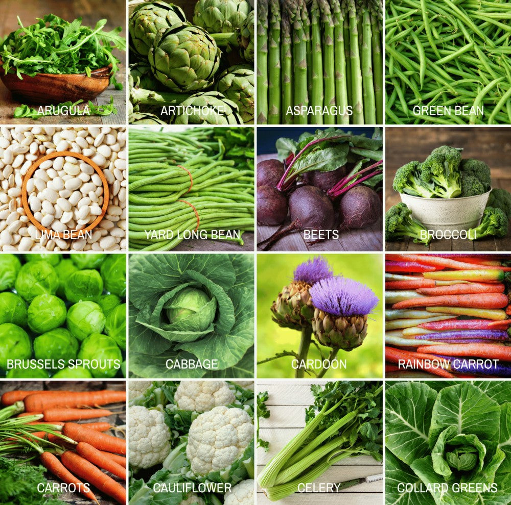 Community Garden Survival Seed Vault – 120 Seed Varieties | Plow & Hearth
