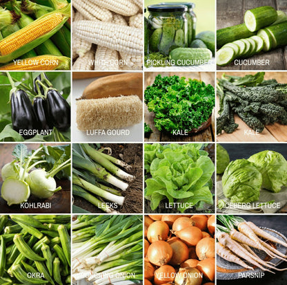 Community Garden Survival Seed Vault – 120 Seed Varieties | Plow & Hearth