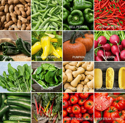 Community Garden Survival Seed Vault – 120 Seed Varieties | Plow & Hearth
