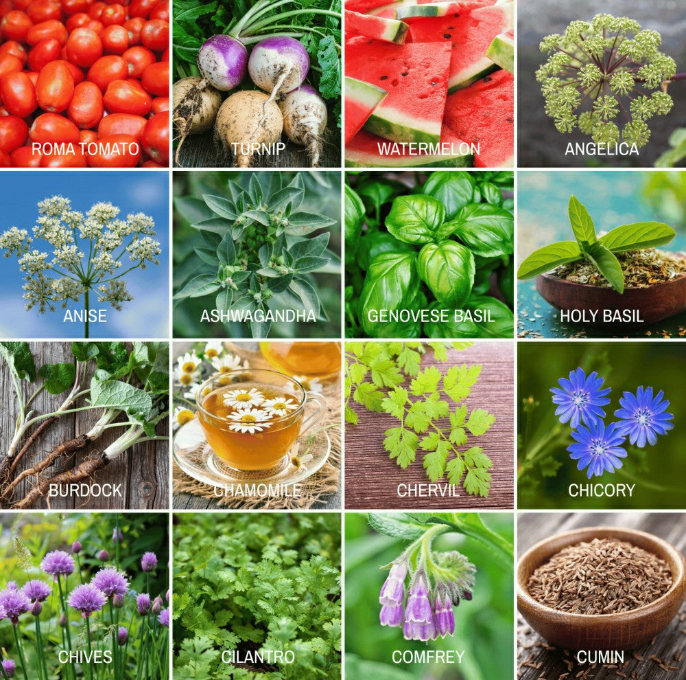 Community Garden Survival Seed Vault – 120 Seed Varieties | Plow & Hearth