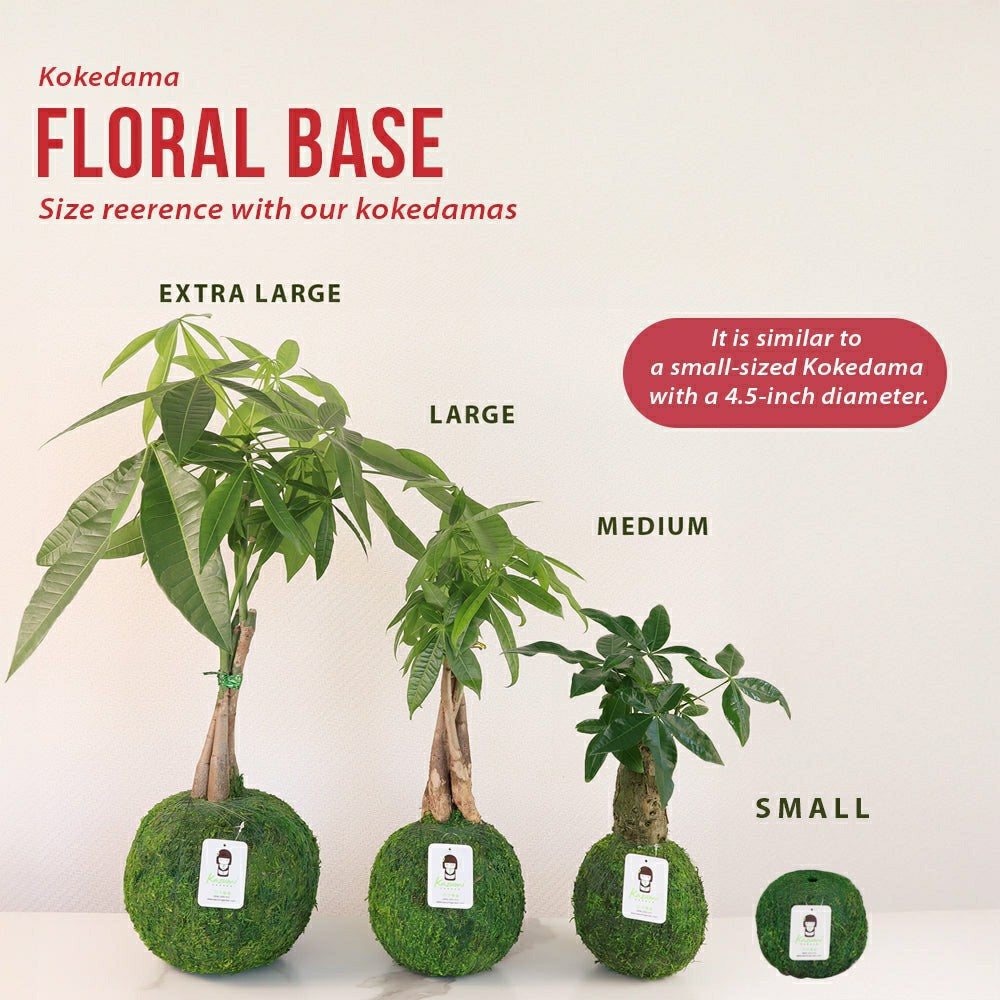 Natural MOSS 4.5" Kokedama Floral Base - Perfect for Single Stems, Fre | Plow & Hearth