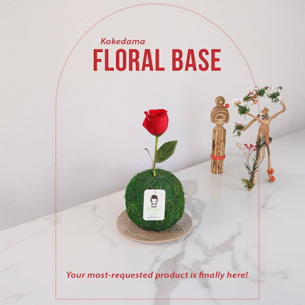 Natural MOSS 4.5" Kokedama Floral Base - Perfect for Single Stems, Fre | Plow & Hearth
