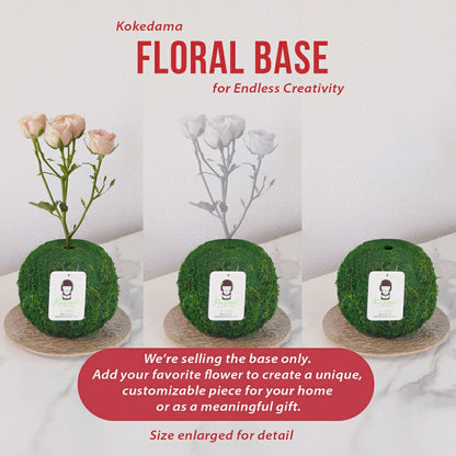 Natural MOSS 4.5" Kokedama Floral Base - Perfect for Single Stems, Fre | Plow & Hearth