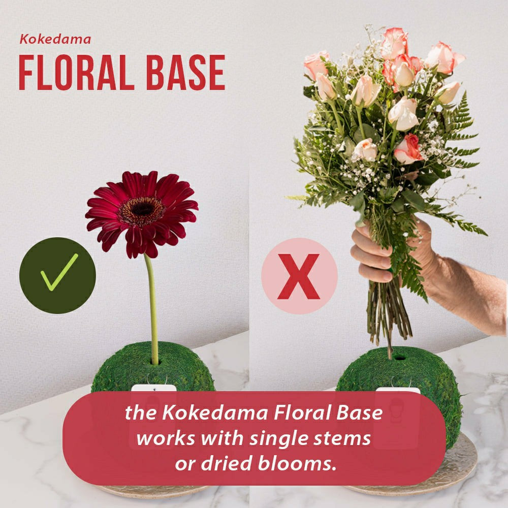 Natural MOSS 4.5" Kokedama Floral Base - Perfect for Single Stems, Fre | Plow & Hearth