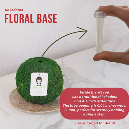 Natural MOSS 4.5" Kokedama Floral Base - Perfect for Single Stems, Fre | Plow & Hearth
