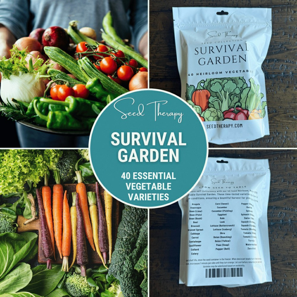Survival Garden Combo – 40 Vegetable & 40 Medicinal Herb Varieties | Plow & Hearth