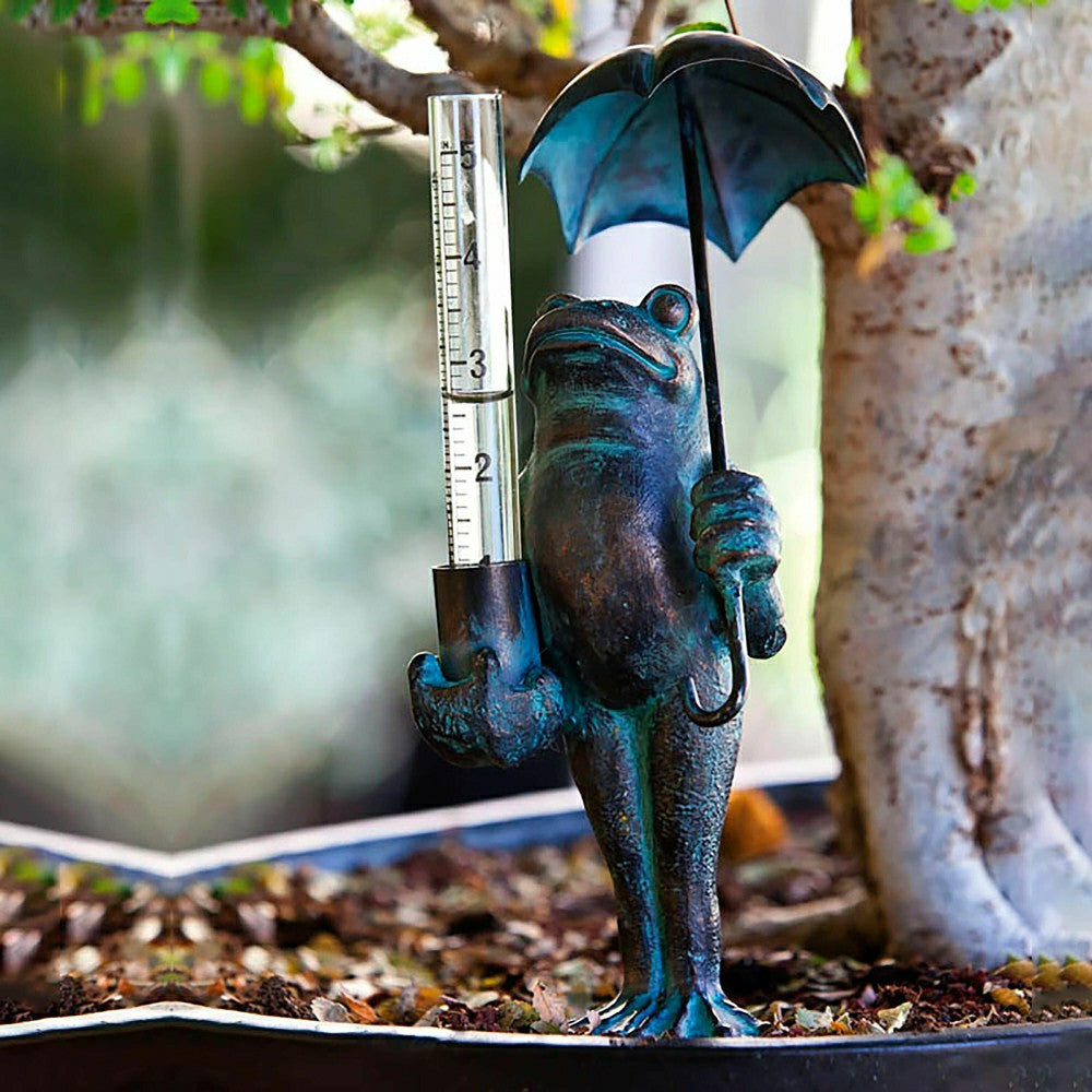 Frog Rain Gauge | Plow & Hearth
