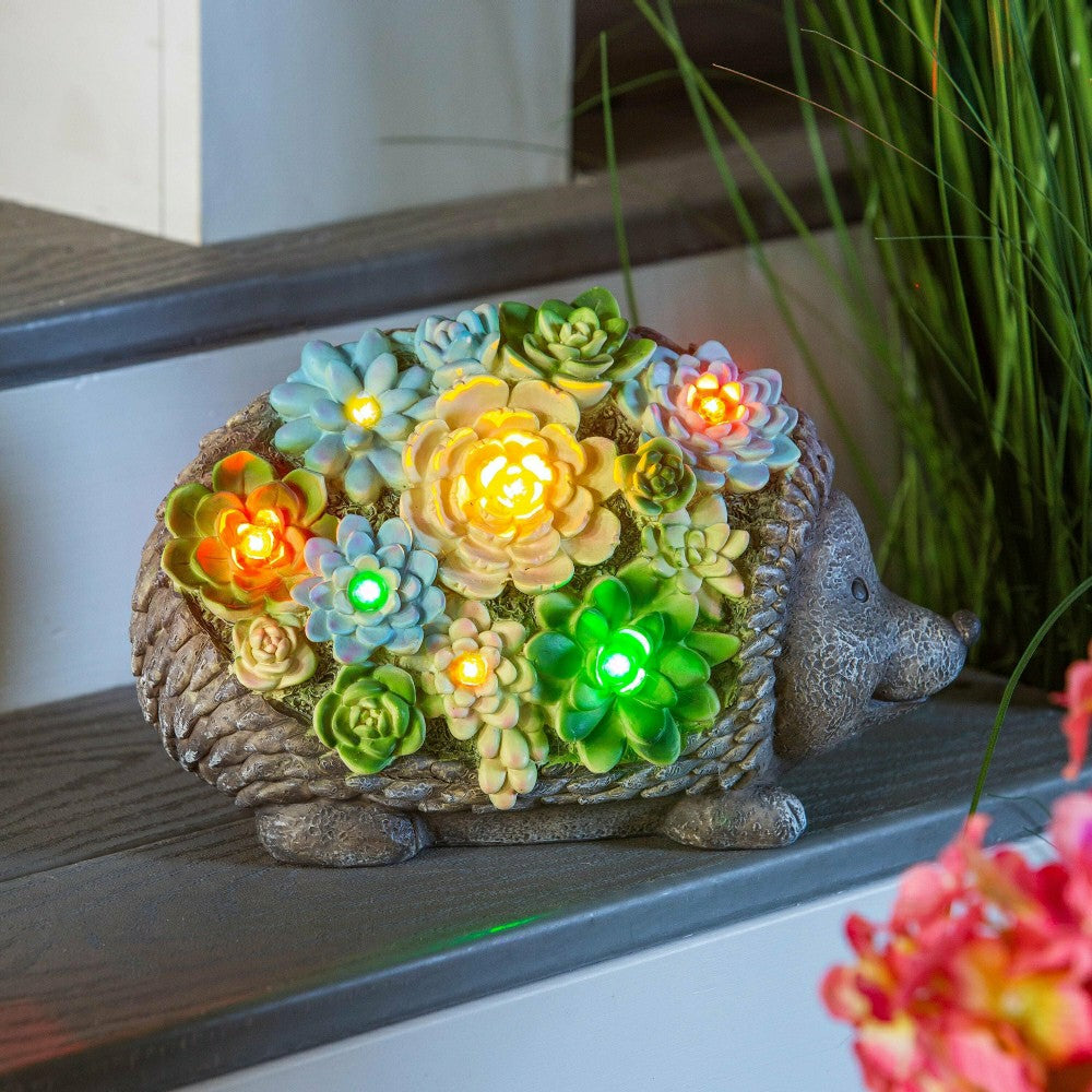 Solar Resin Succulent Hedgehog | Plow & Hearth